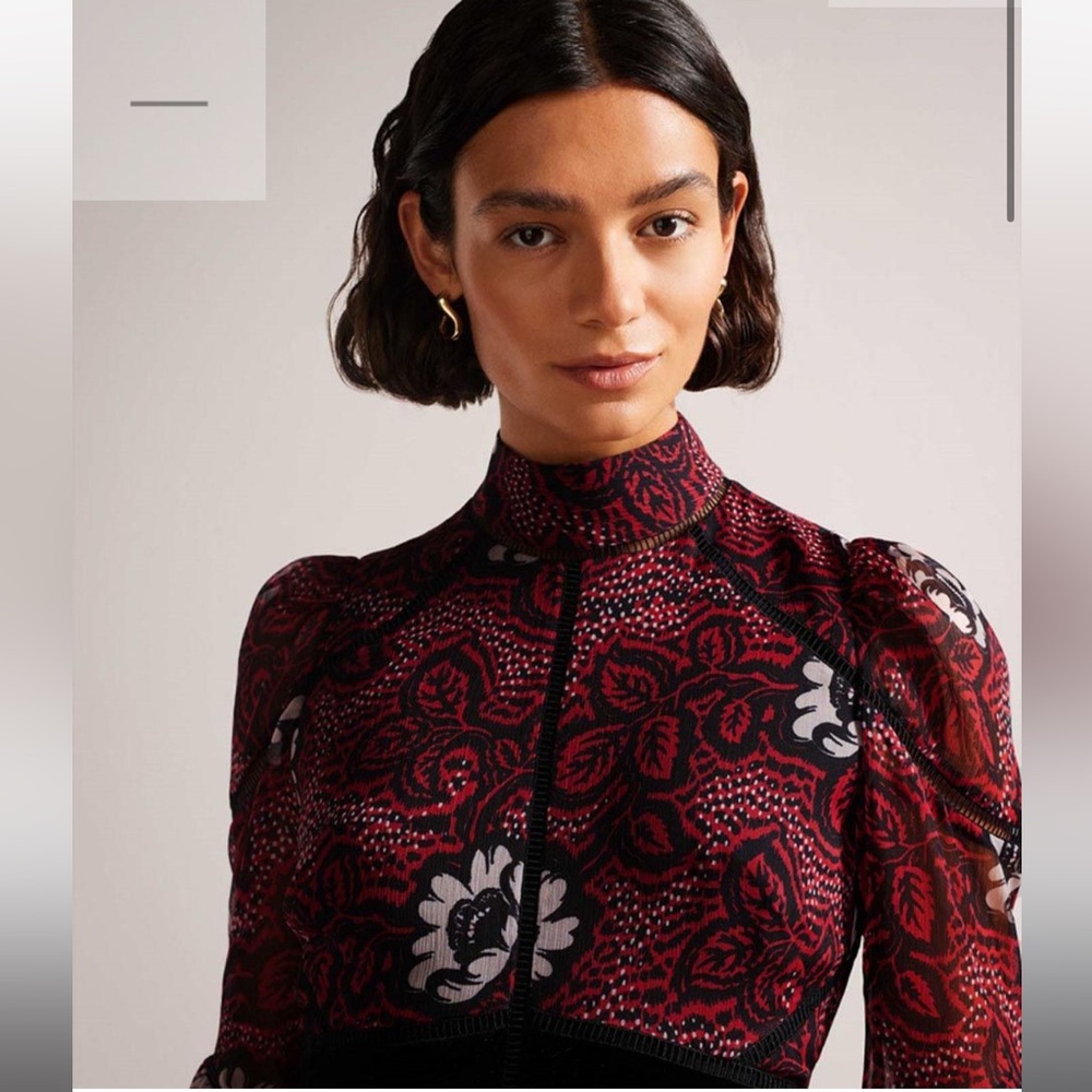 NWT Ted Baker London
Coriey Floral
Long Sleeve
Chiffon Dress